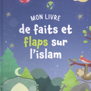 Mon livre de faits et flats sur l'Islam